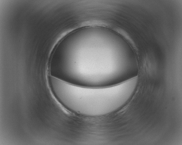 X0000068301040200604211005