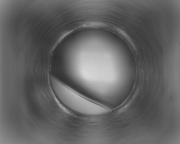 X0000068301041200604211005