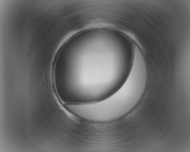 X0000068301046200604211006