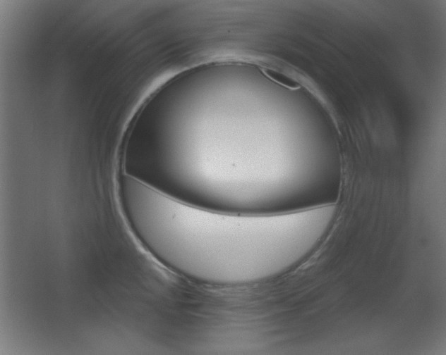 X0000068301048200604211006