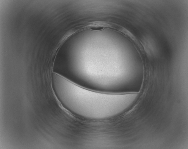 X0000068301049200604211006