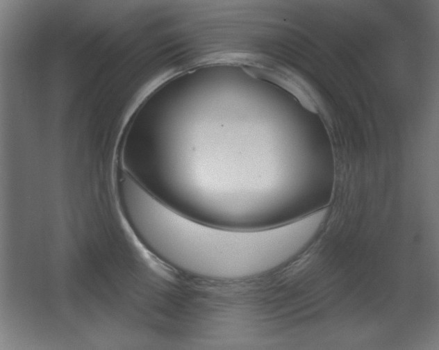 X0000068301050200604211006