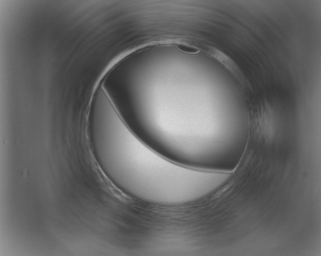 X0000068301052200604211006