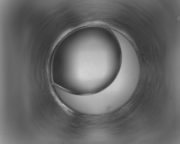 X0000068301054200604211006