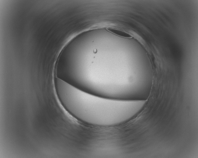 X0000068301055200604211006