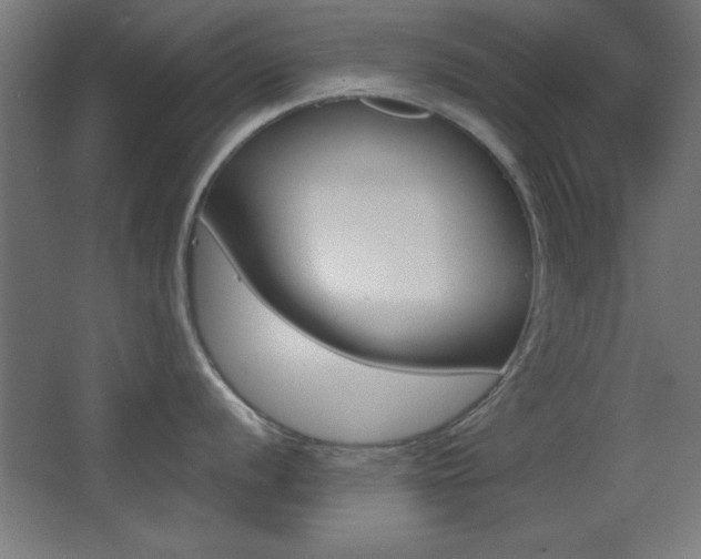 X0000068301056200604211006