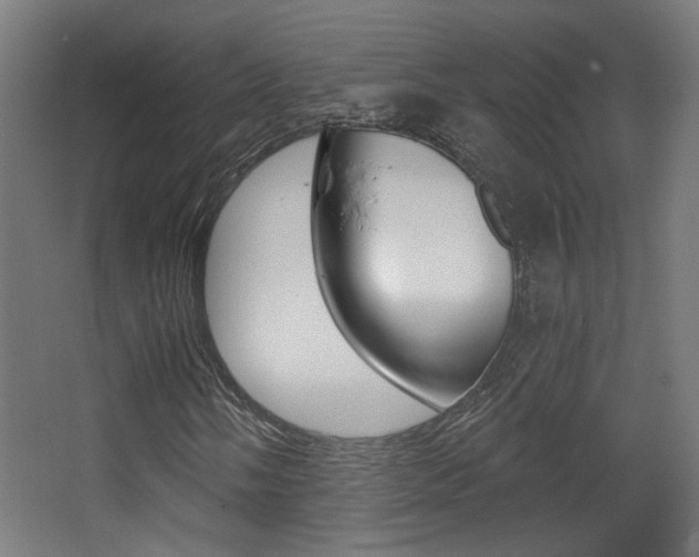 X0000068301058200604211005