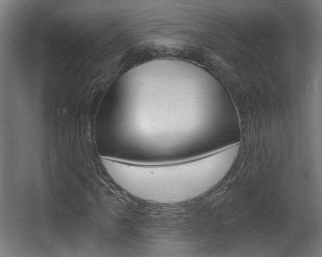 X0000068301061200604211005