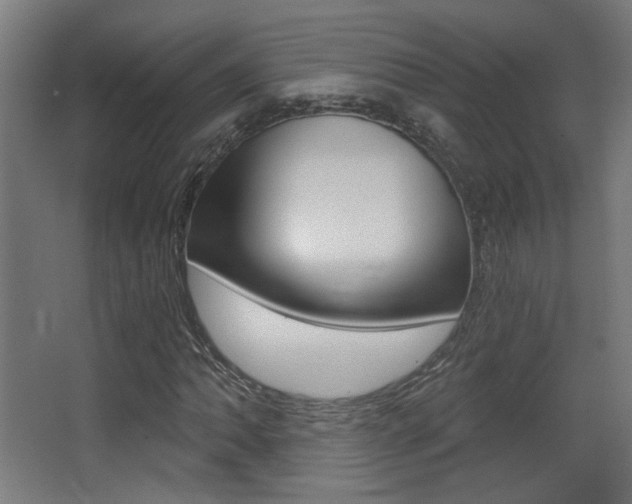 X0000068301062200604211005