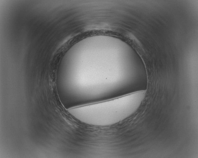 X0000068301064200604211005
