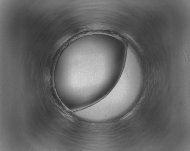 X0000068301065200604211005