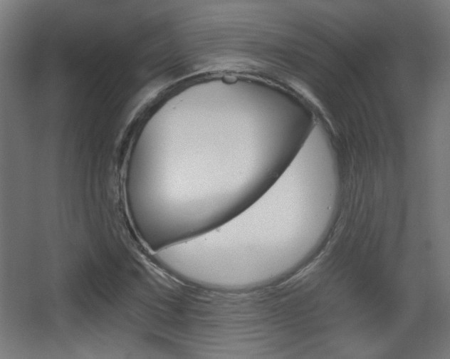 X0000068301067200604211005