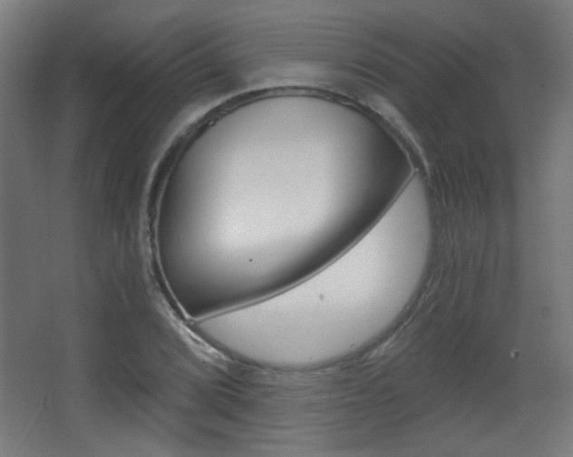 X0000068301072200604211005