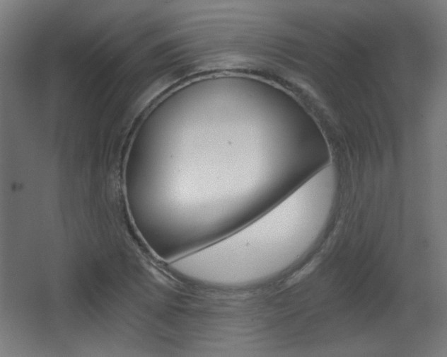 X0000068301073200604211005