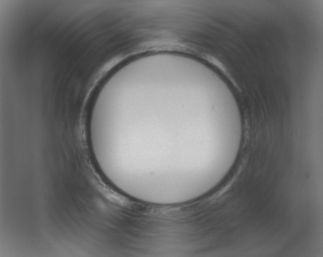 X0000068301074200604211005