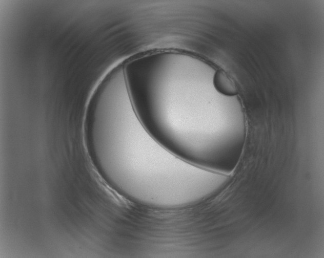 X0000068301076200604211005
