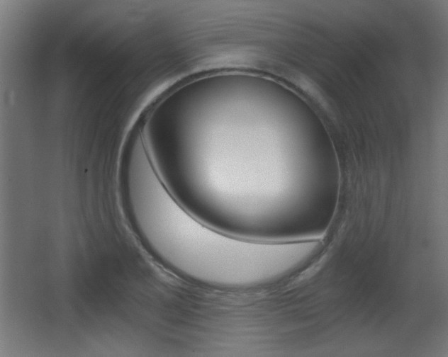 X0000068301077200604211005