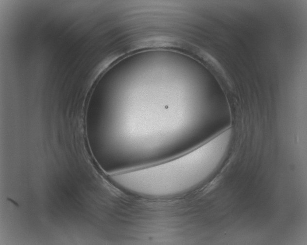 X0000068301081200604211004