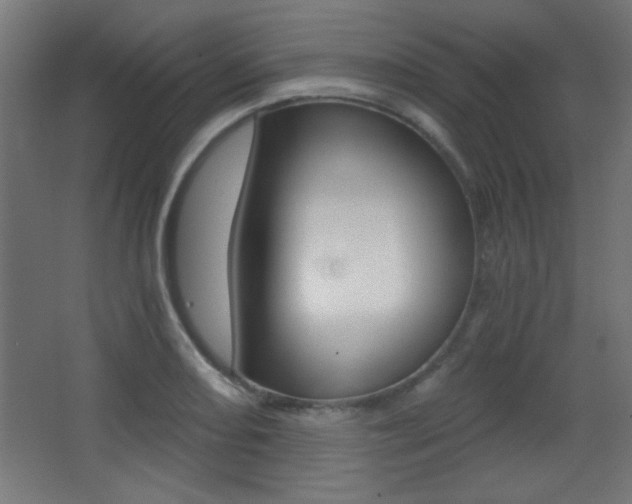X0000068301082200604211004