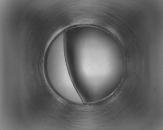 X0000068301085200604211004
