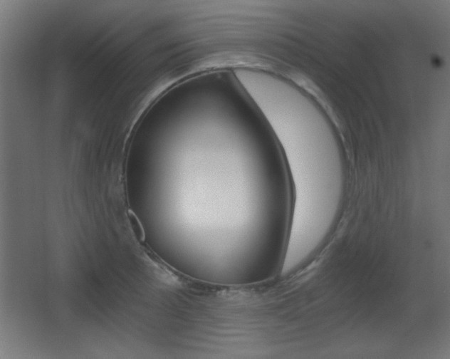 X0000068301089200604211004