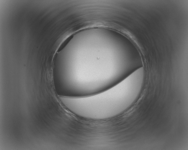 X0000068301097200604211004
