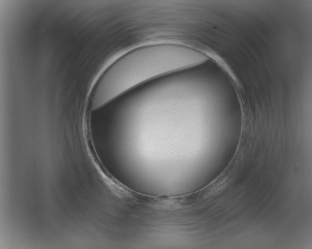 X0000068301101200604211004