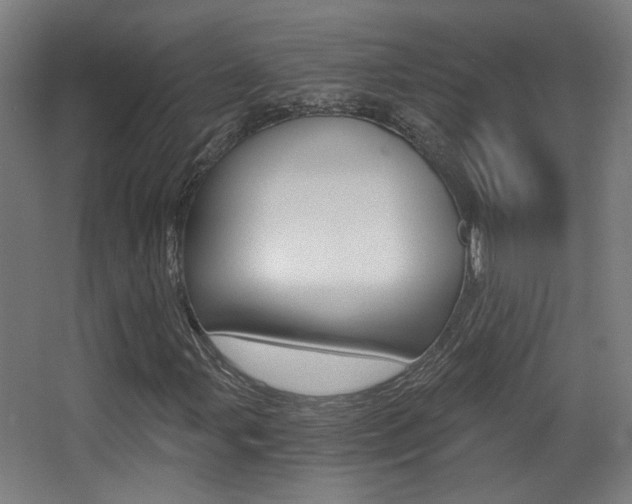 X0000068301107200604211003