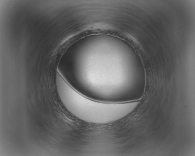 X0000068301112200604211003
