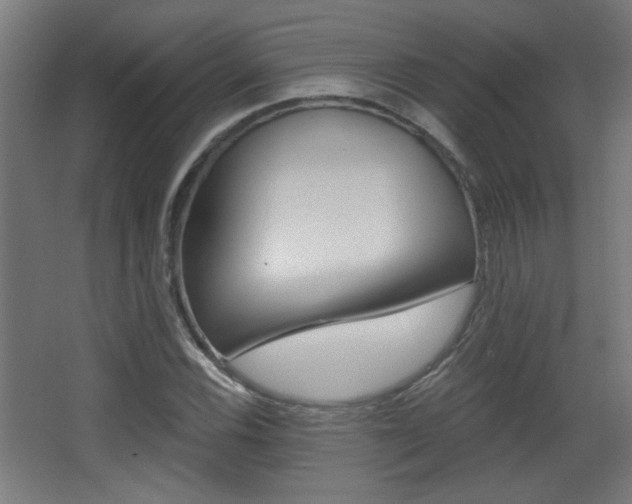 X0000068301116200604211003
