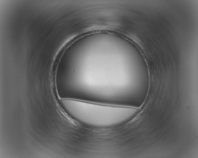 X0000068301119200604211004