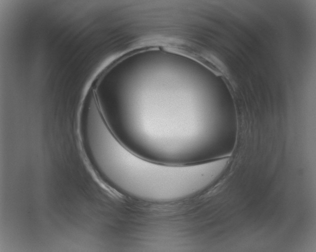 X0000068301128200604211004
