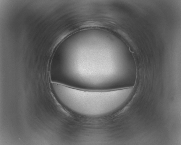 X0000068301129200604211004