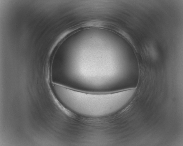 X0000068301131200604211004