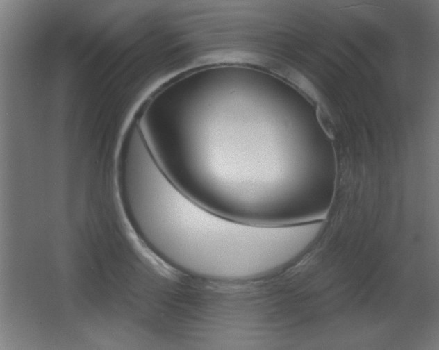 X0000068301132200604211004