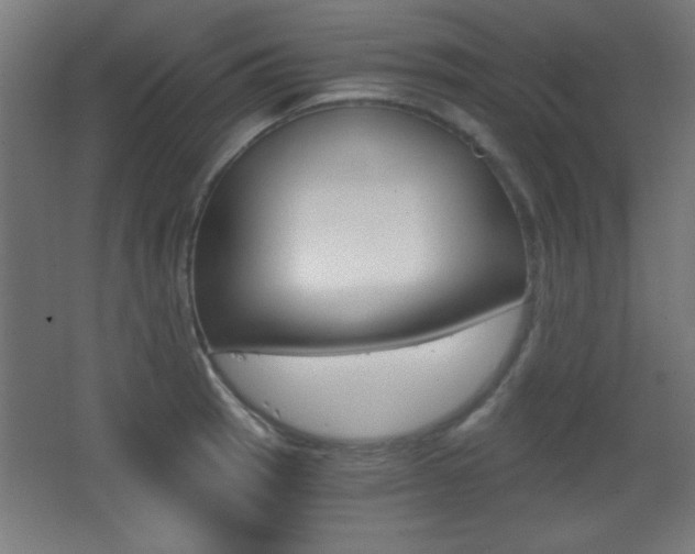 X0000068301137200604211004
