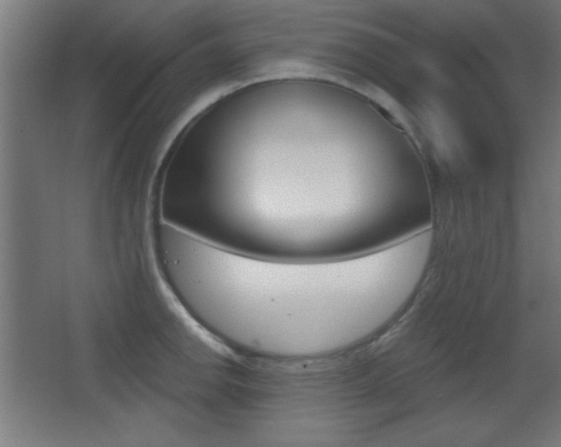 X0000068301142200604211004