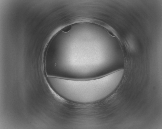 X0000068301143200604211004