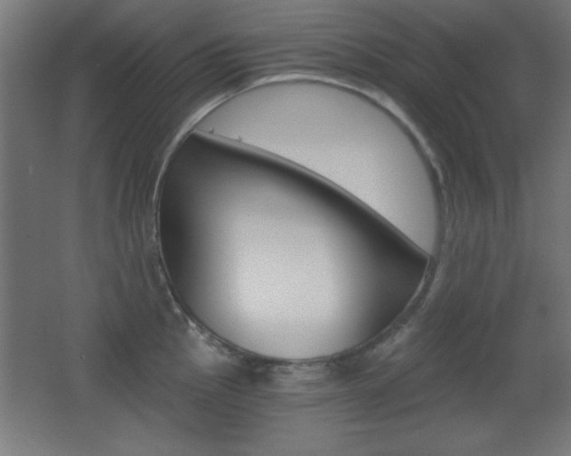 X0000068301145200604211004