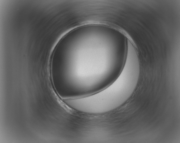 X0000068301148200604211004