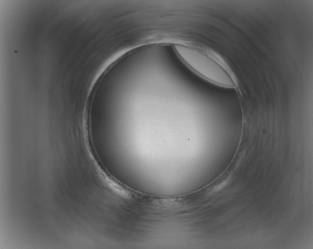 X0000068301149200604211004