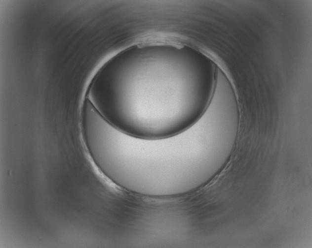 X0000068301152200604211004