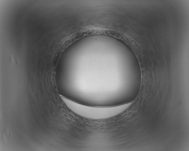 X0000068301157200604211003