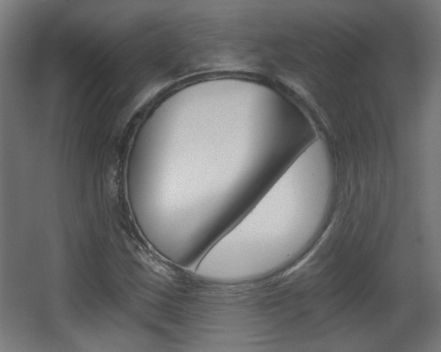 X0000068301163200604211003