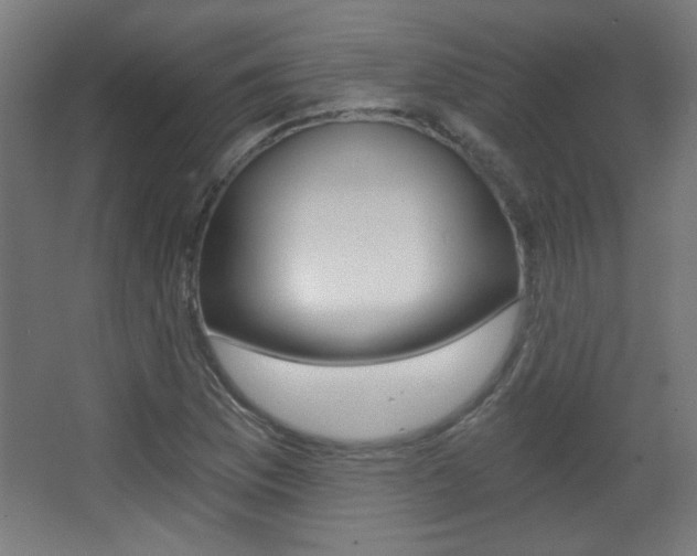 X0000068301169200604211003