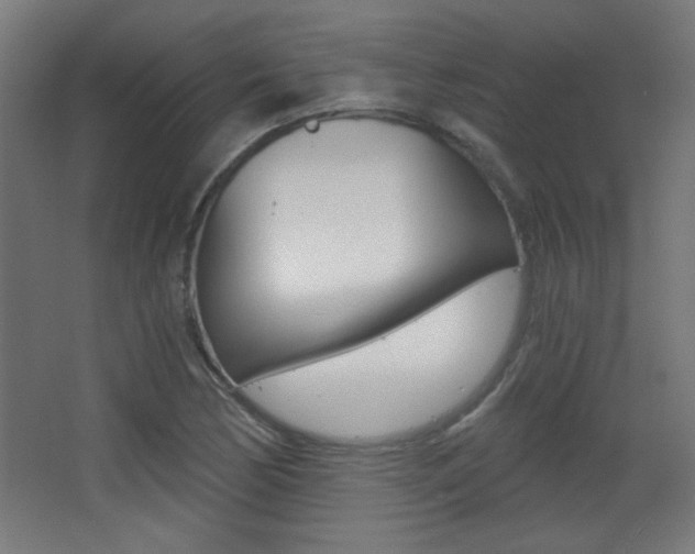 X0000068301170200604211003
