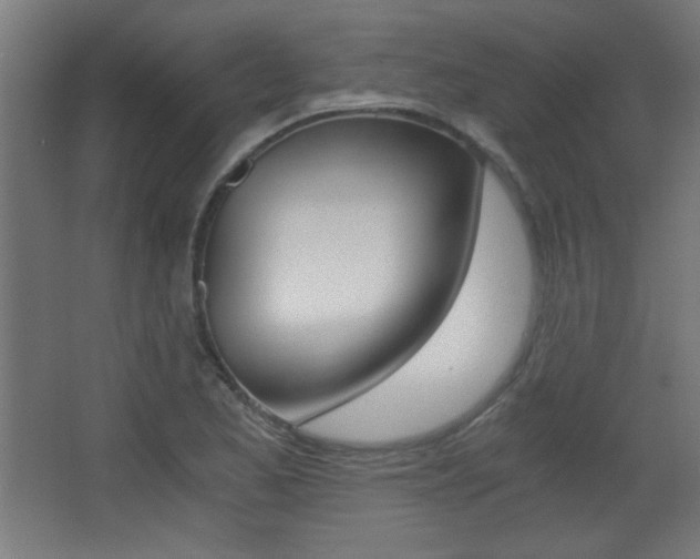 X0000068301173200604211003