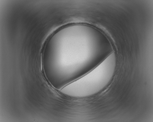 X0000068301175200604211003