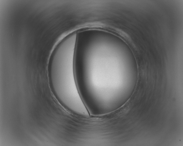 X0000068301176200604211003
