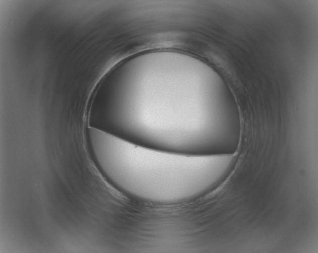 X0000068301178200604211003